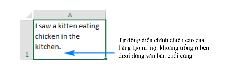 c3a1df Loi-excel-autofit-khong-hoat-dong
