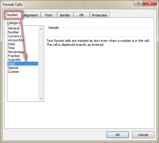 On the Number tab, select Text and then click OK.