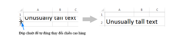 thaydoichieucaohang dup-chuot-de-tu-dong-thay-doi-chieu-cao-hang