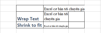 mos-excel-2010-wrap-text-shrink-to-fit